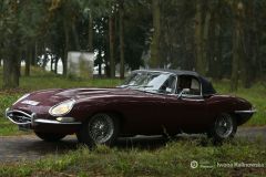 fot-Iwona-Kalinowska-021