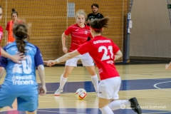 fot-Dawid-Szafraniak-026