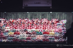 foto_Milosz_Chodkowski_jarmark-24