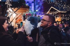 foto_Milosz_Chodkowski_jarmark-45