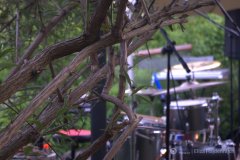 fot.-Eliza-Hajdenrajch-2