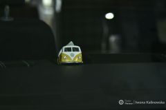 fot-Iwona-Kalinowska-008