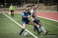 fot-Dawid-Szafraniak-010