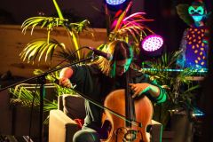 fot-Patrycja-Chodorowska-015a