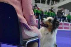 fot-Angelika-Sarna-002