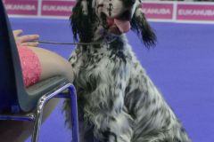 fot-Angelika-Sarna-003