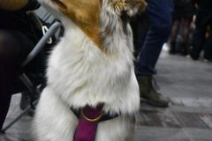 fot-Angelika-Sarna-005