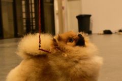 fot-Angelika-Sarna-006