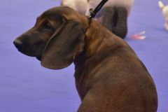 fot-Angelika-Sarna-007