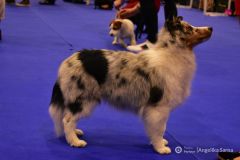 fot-Angelika-Sarna-008