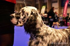 fot-Angelika-Sarna-009