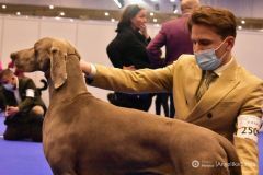 fot-Angelika-Sarna-010