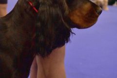 fot-Angelika-Sarna-011