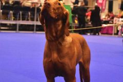 fot-Angelika-Sarna-012