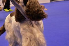 fot-Angelika-Sarna-015