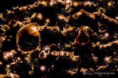 fot-Konrad-Czapracki-008