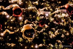 fot-Konrad-Czapracki-010