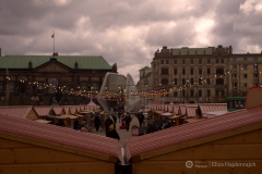 fot.-Eliza-Hajdenrajch-1