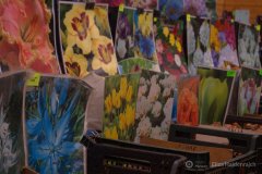 fot.-Eliza-Hajdenrajch-10