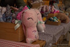 fot.-Eliza-Hajdenrajch-12