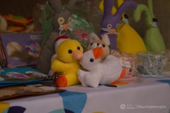 fot.-Eliza-Hajdenrajch-13