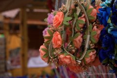 fot.-Eliza-Hajdenrajch-17