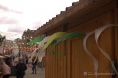 fot.-Eliza-Hajdenrajch-3