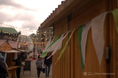 fot.-Eliza-Hajdenrajch-4