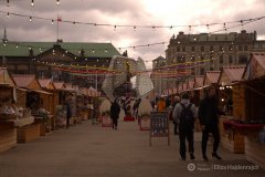 fot.-Eliza-Hajdenrajch-5