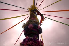 fot.-Eliza-Hajdenrajch-6