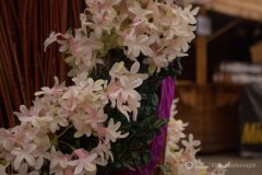 fot.-Eliza-Hajdenrajch-7