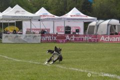 fot-Angelika-Sarna-003