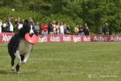 fot-Angelika-Sarna-004