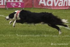 fot-Angelika-Sarna-005