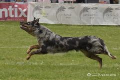 fot-Angelika-Sarna-006