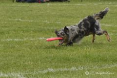 fot-Angelika-Sarna-007