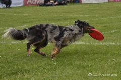 fot-Angelika-Sarna-008