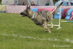 fot-Angelika-Sarna-009