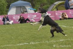 fot-Angelika-Sarna-012