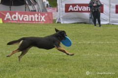 fot-Angelika-Sarna-013