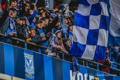 fot-Dawid-Szafraniak-002