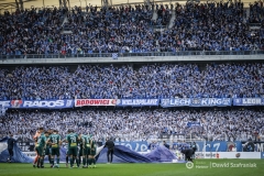 fot-Dawid-Szafraniak-014