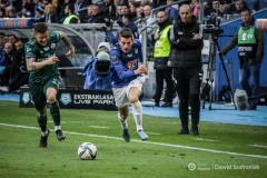 fot-Dawid-Szafraniak-024