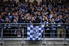 fot-Dawid-Szafraniak-059