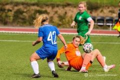 fot-Dawid-Szafraniak-008