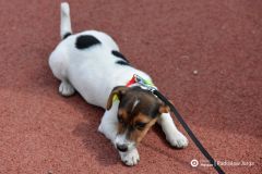 fot-Radoslaw-Jurga-019