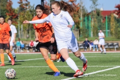 fot-Dawid-Szafraniak-004