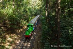 fot-Konrad-Czapracki-002