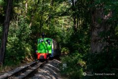 fot-Konrad-Czapracki-012