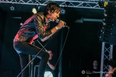 fot-Dawid-Szafraniak-008